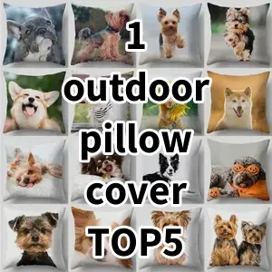 Top5 Best-selling 1 outdoor pillow cover