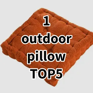 Top5 Best-selling 1 outdoor pillow