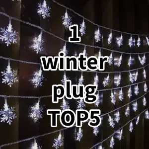 Top 5 Best-selling 1 winter plug