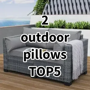 Top5 Best-selling 2 outdoor pillows