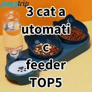 Top 5 Best-selling 3 cat automatic feeder