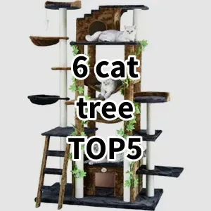 Top 5 Best-selling 6 cat tree
