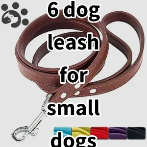 Top 5 Best-selling 6 dog leash for small dogs