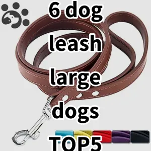 Top 5 Best-selling 6 dog leash large dogs