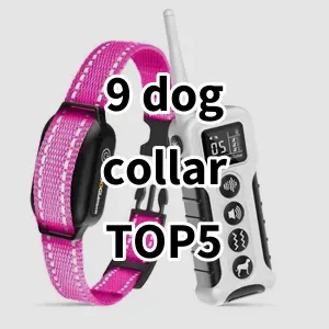 Top 5 Best-selling 9 dog collar