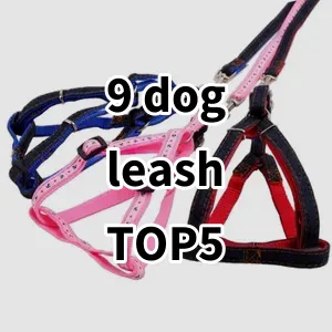 Top 5 Best-selling 9 dog leash