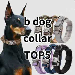 Top 5 Best-selling b dog collar