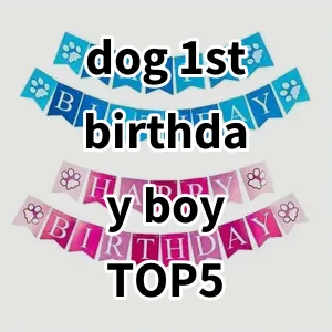 Top 5 Best-selling dog 1st birthday boy