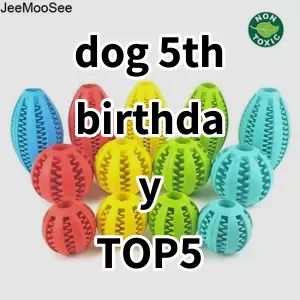 Top 5 Best-selling dog 5th birthday