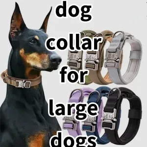Top 5 Best-selling dog collar for large dogs