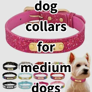 Top 5 Best-selling dog collars for medium dogs