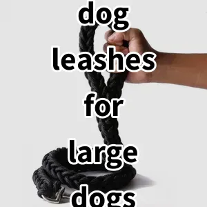 Top 5 Best-selling dog leashes for large dogs heavy duty