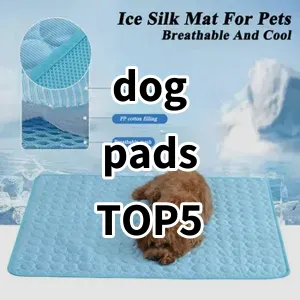 Top 5 Best-selling dog pads