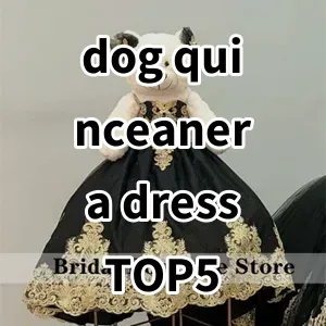 Top 5 Best-selling dog quinceanera dress