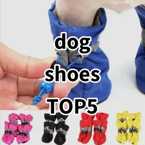 Top 5 Best-selling dog shoes