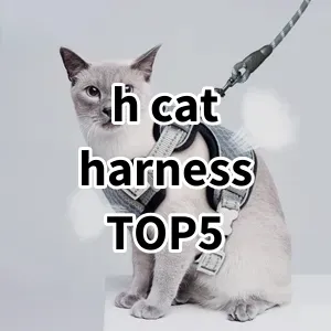 Top 5 Best-selling h cat harness