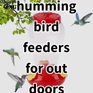 Top5 Best-selling hummingbird feeders for outdoors