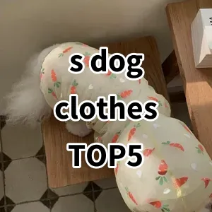 Top 5 Best-selling s dog clothes