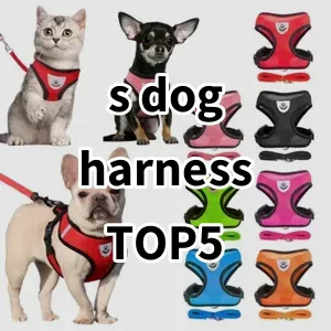 Top 5 Best-selling s dog harness