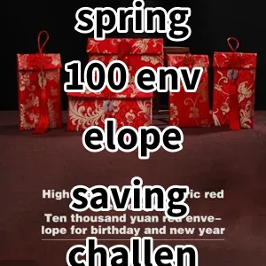 Top 5 Best-selling spring 100 envelope saving challenge