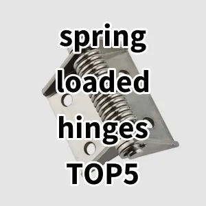 Top 5 Best-selling spring loaded hinges