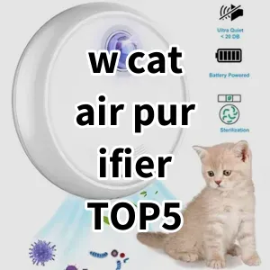 Top 5 Best-selling w cat air purifier
