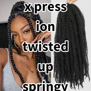 Top 5 Best-selling x pression twisted up springy afro twist