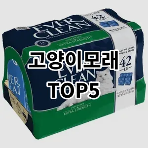 2024 고양이모래 추천 Top5