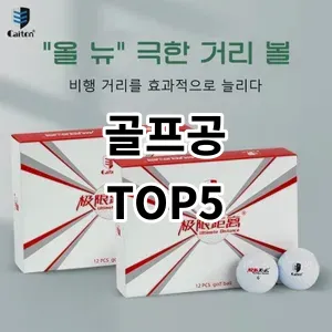 2024 골프공 추천 Top5