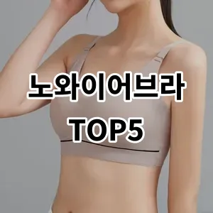 2024 노와이어브라 추천 Top5