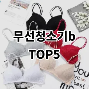 2024 무선청소기b 추천 Top5