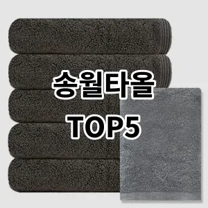 2024 송월타올 추천 Top5