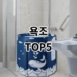 2024 욕조 추천 Top5