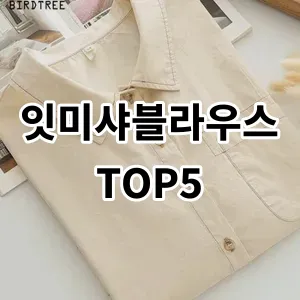 2024 잇미샤블라우스 추천 Top5