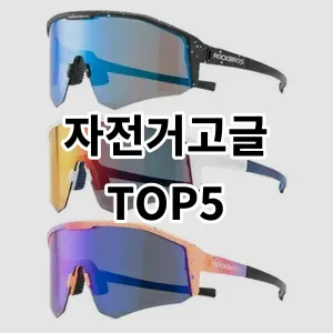 2024 자전거고글 추천 Top5