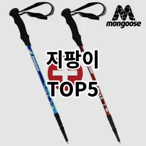 2024 지팡이 추천 Top5