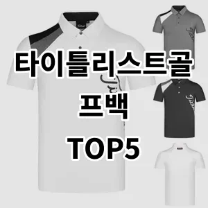 2024 타이틀리스트골프백 추천 Top5