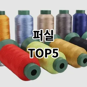 2024 퍼실 추천 Top5