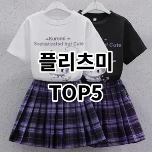 2024 플리츠미 추천 Top5
