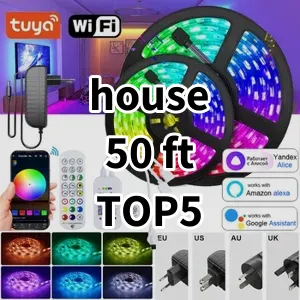 2024 Top5 Cost Effective house 50 ft