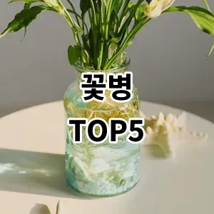 2024 꽃병 추천 Top5