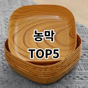 2024 농막 추천 Top5
