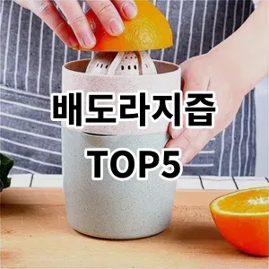 2024 배도라지즙 추천 Top5