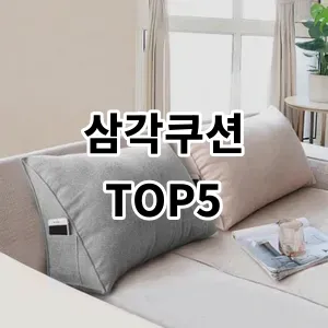 2024 삼각쿠션 추천 Top5