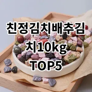 2024 친정김치배추김치10kg 추천 Top5