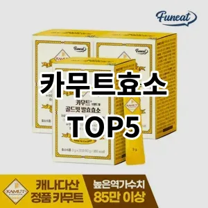 2024 카무트효소 추천 Top5