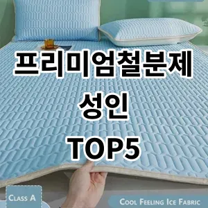 2024 프리미엄철분제성인 추천 Top5